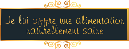 alimentation naturellement saine pour chat